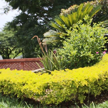 Hotel Syvanna Wellness And Spa Cerritos Luaran gambar