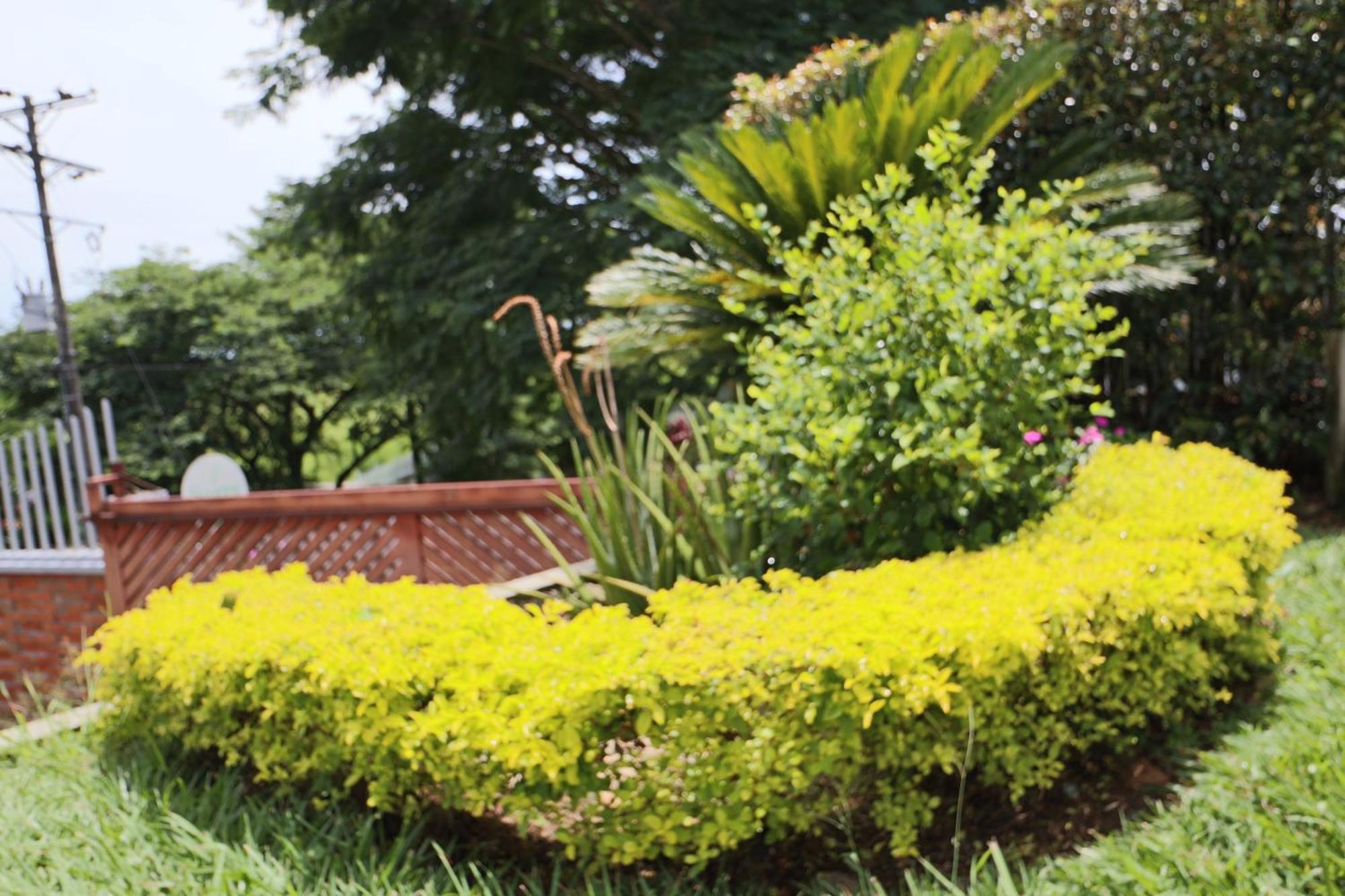 Hotel Syvanna Wellness And Spa Cerritos Luaran gambar